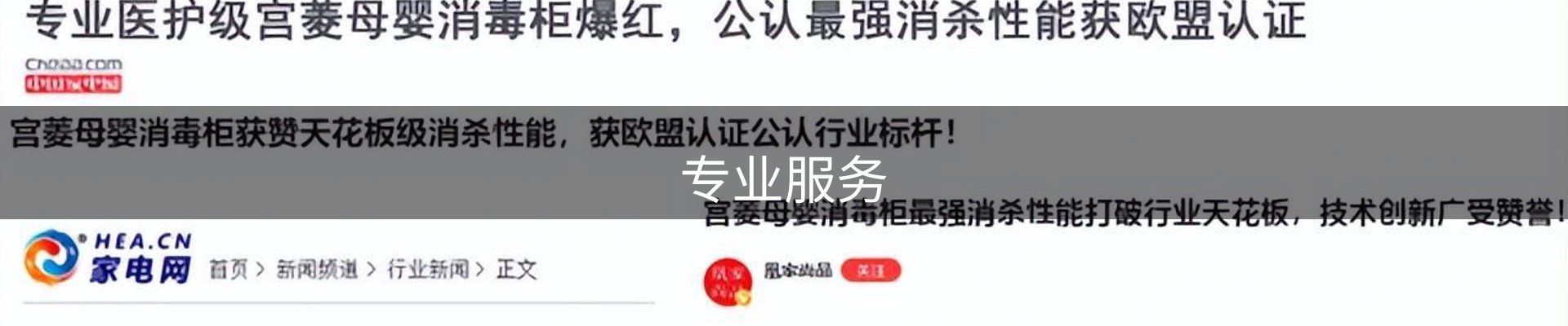 专业服务